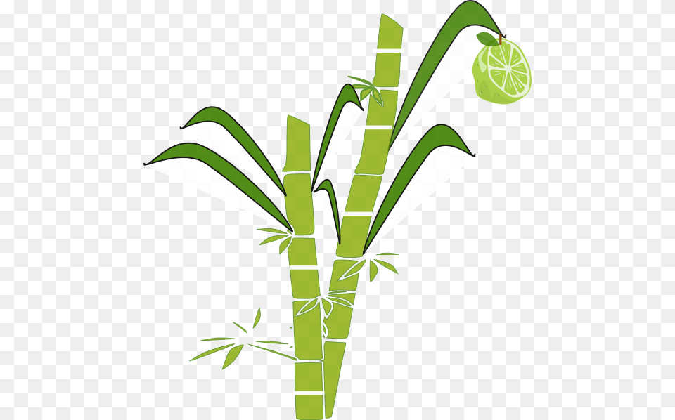 Sugary Clip Art, Smoke Pipe, Bamboo, Plant Free Png