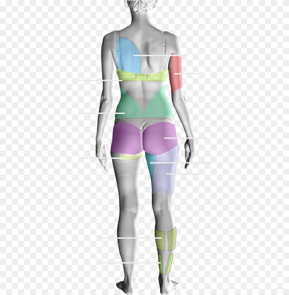 Suitable Treatments Tights, Chart, Plot, Adult, Person Free Transparent Png