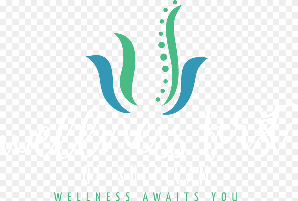 Sullivan In Chiropractor Graphic Design, Calligraphy, Handwriting, Text Free Transparent Png