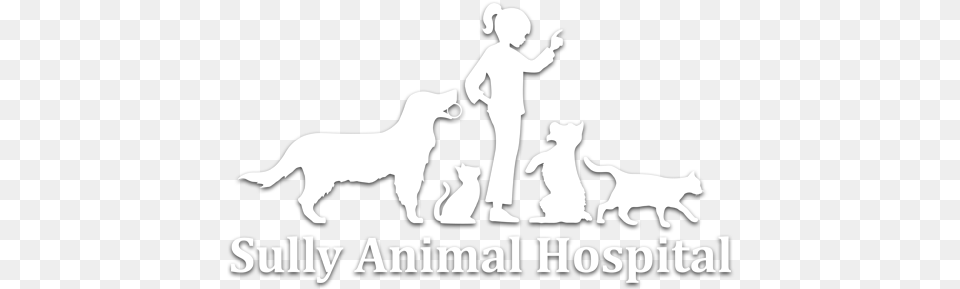 Sully Animal Hospital, Stencil, Baby, Person, Canine Free Png