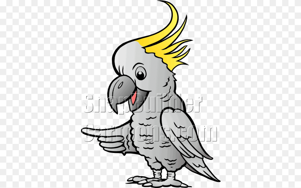 Sulphur Cockatoo Pointing Left Illustration, Animal, Person, Bird, Parrot Free Transparent Png