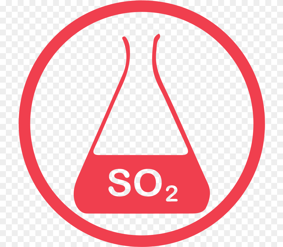 Sulphurdioxide Allergy Red Icon Sulphur Dioxide Icon, Bag, Accessories, Handbag, Disk Png