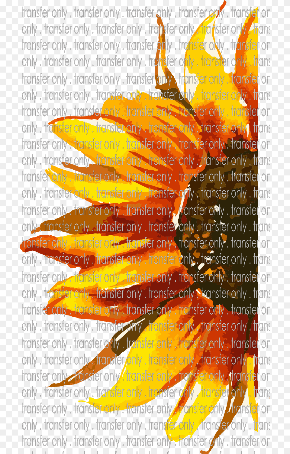 Sum 13 Half Sunflower Watercolor Floral Design, Flower, Petal, Plant, Food Free Transparent Png