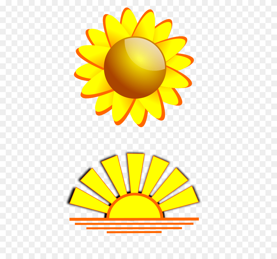 Sum Clip Arts For Web, Daisy, Flower, Plant, Sunflower Free Png Download