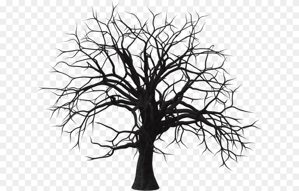 Sumac Tree 01 By Stock By Wayne On Clipart Library Creepy Dark Tree, Plant, Art, Drawing Free Png