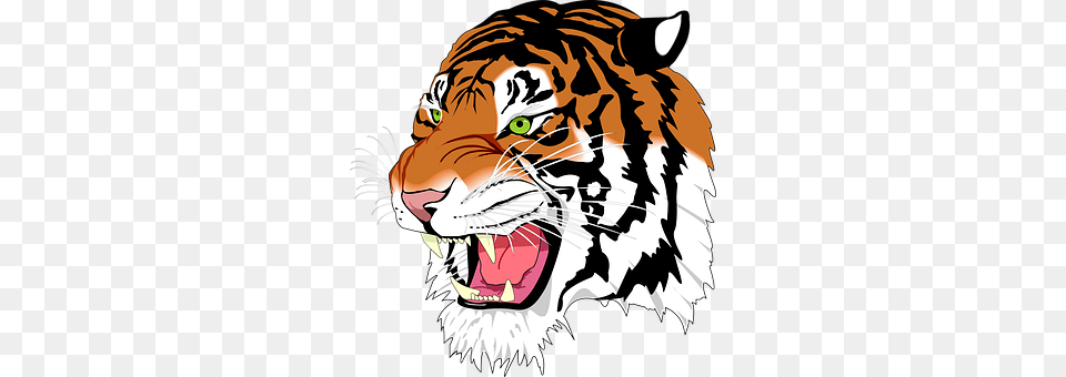 Sumatran Tiger Animal, Mammal, Wildlife Png