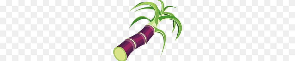 Suministros Food, Produce, Dynamite, Weapon Png Image