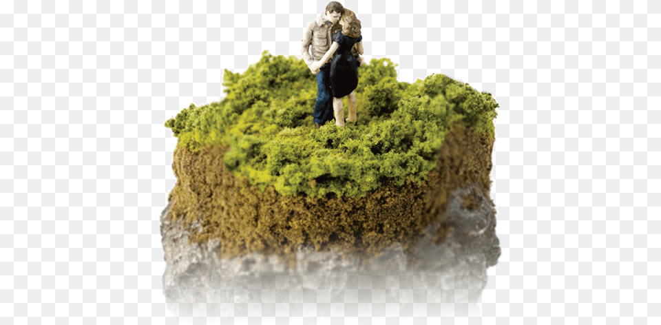 Summary In Bsl, Moss, Plant, Vegetation, Tree Free Png Download