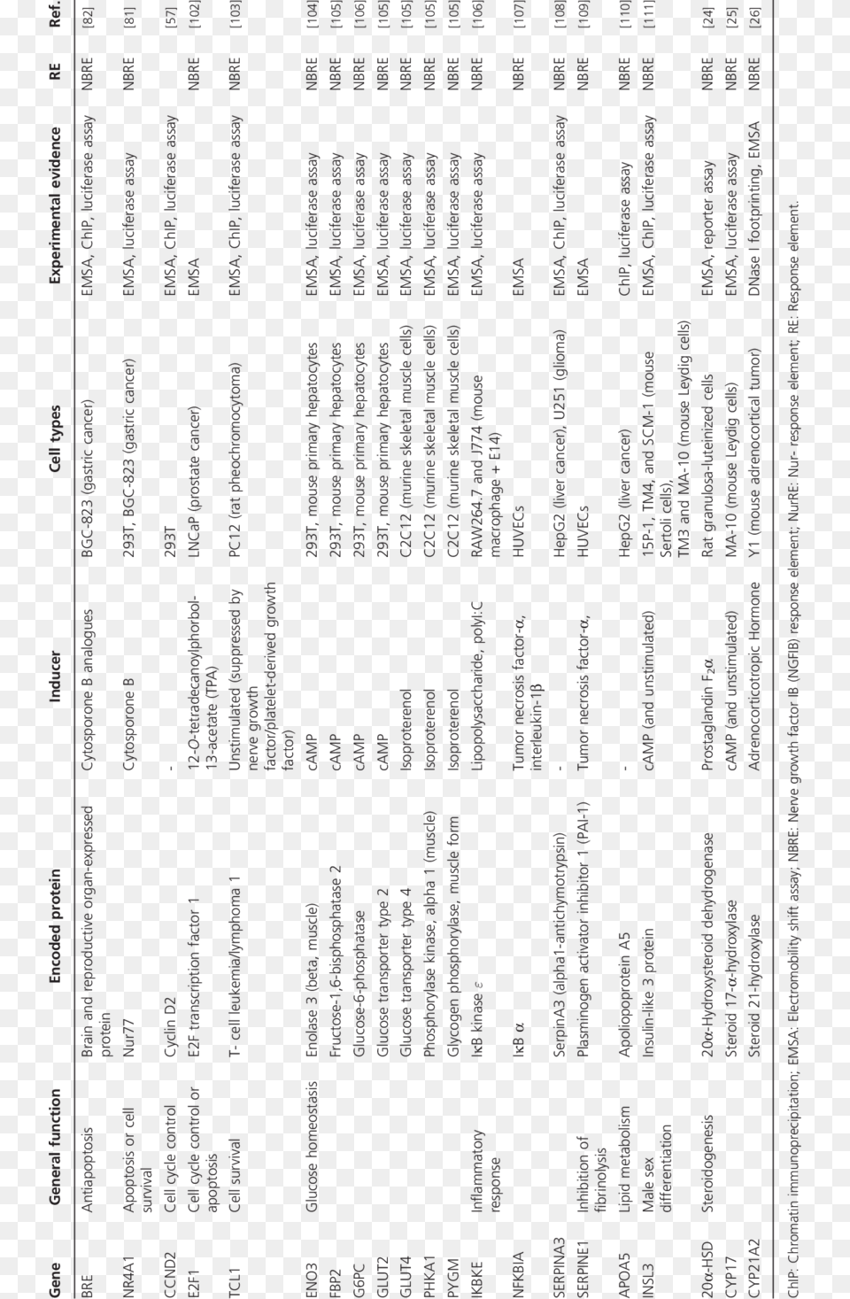 Summary Of Direct Target Genes Of Nur77 Document, Text, Book, Publication Free Transparent Png