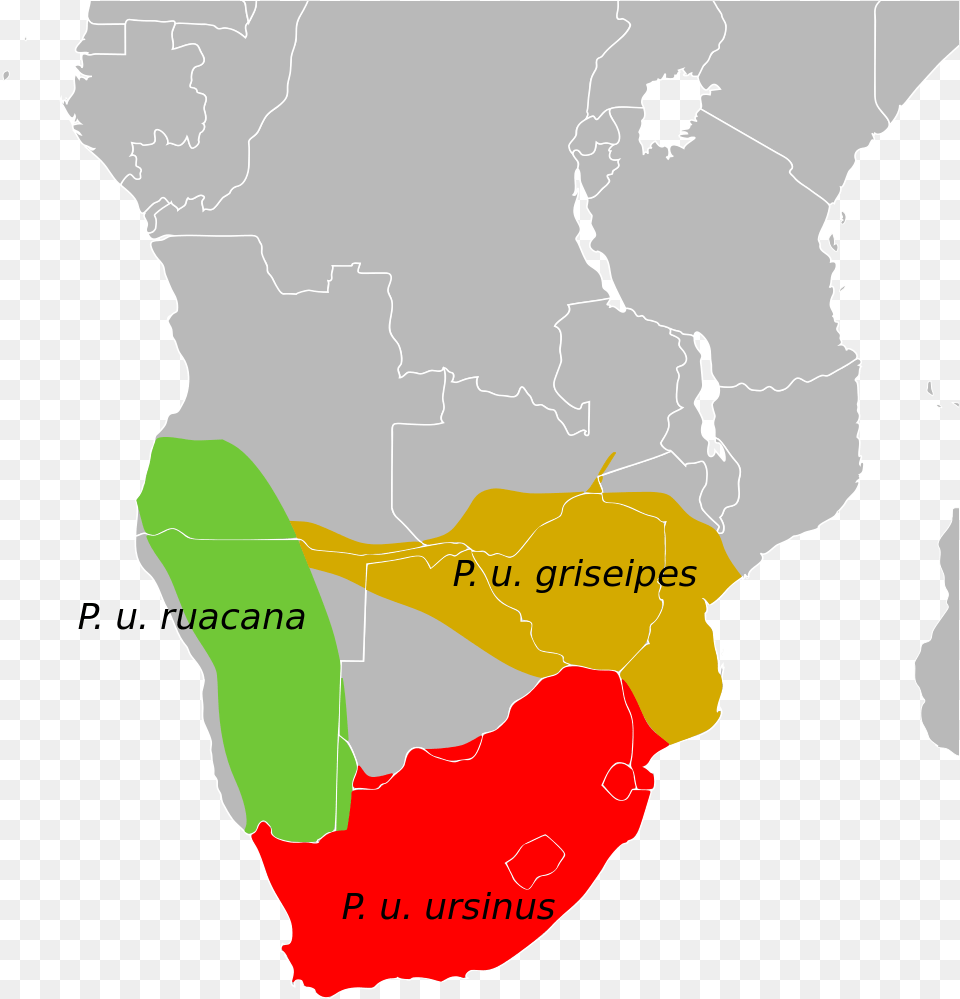 Summaryedit Chacma Baboons Map, Atlas, Chart, Diagram, Plot Free Png Download