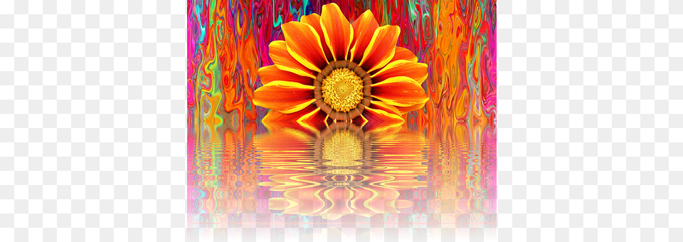Summer Flower, Plant, Art, Modern Art Png
