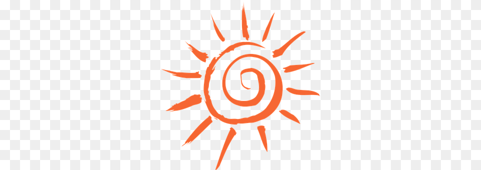 Summer Spiral, Coil, Animal, Invertebrate Free Png Download