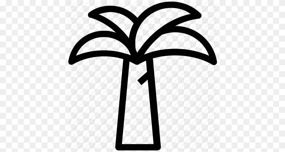 Summer And Beach Vol, Palm Tree, Plant, Tree Free Png Download