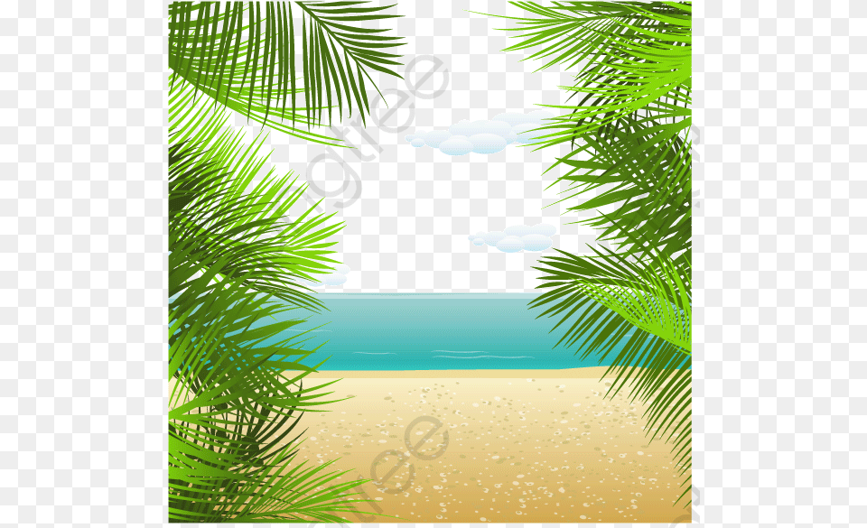 Summer Background, Plant, Outdoors, Nature, Tree Free Png