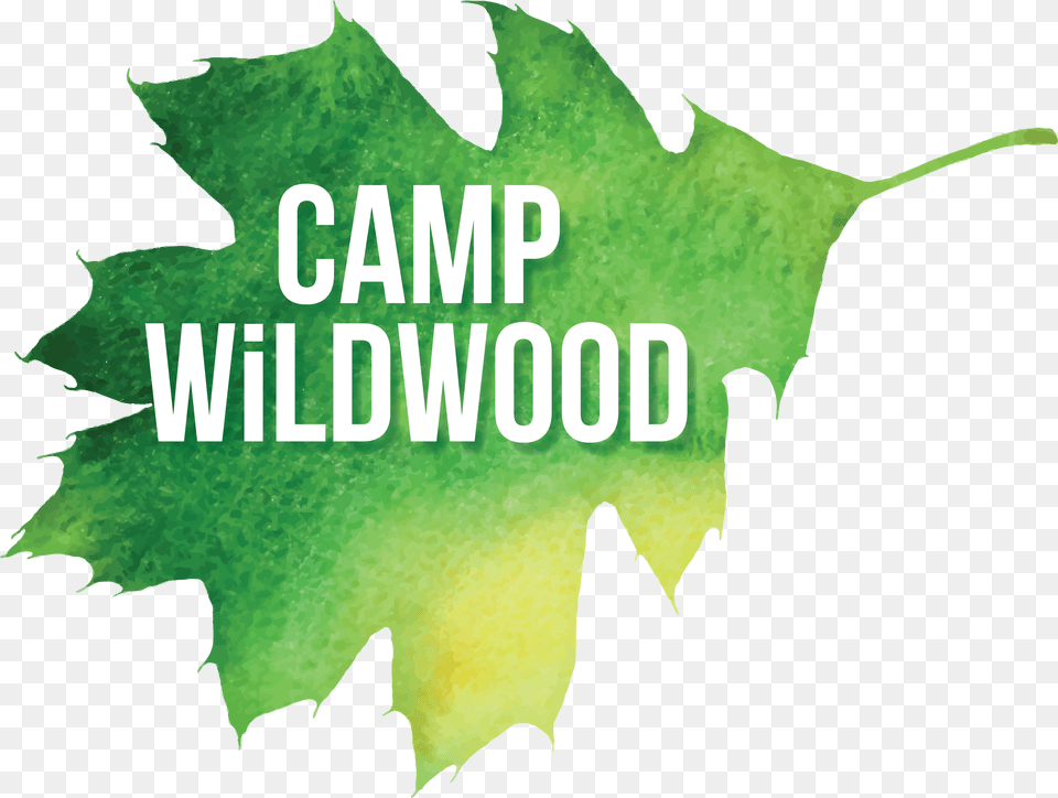 Summer Camp Logo Wildwood Outdoor Education Center Graphic Design, Leaf, Plant, Person, Tree Free Png Download