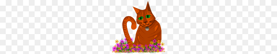 Summer Cat In The Flower Bed, Animal, Mammal, Pet, Plant Free Transparent Png
