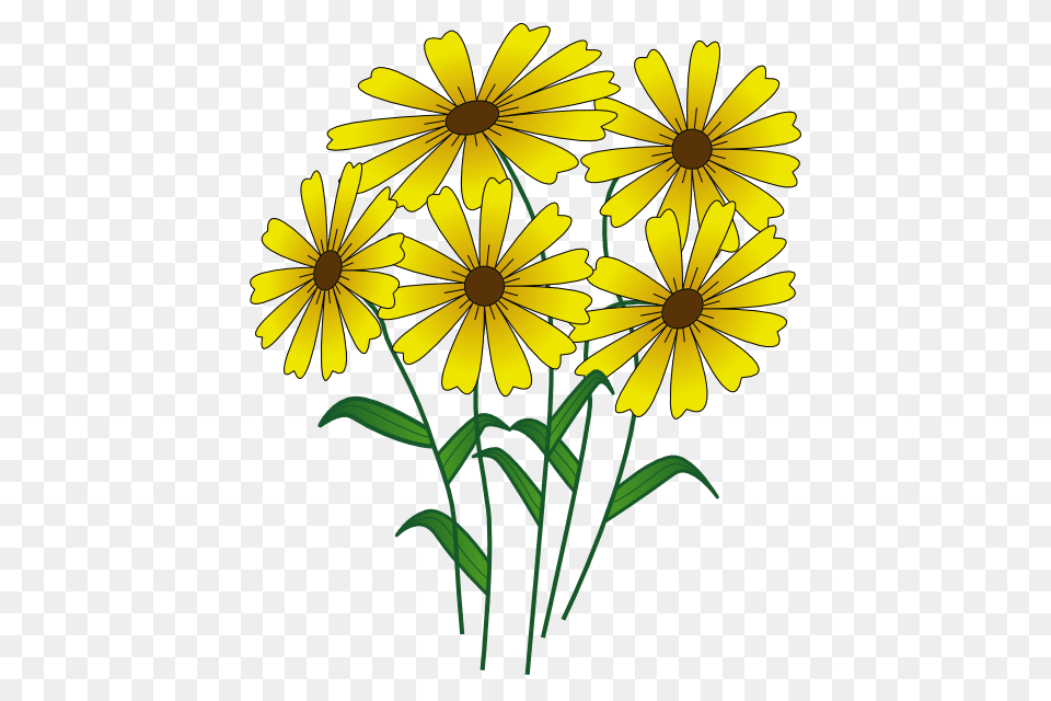 Summer Clip Art, Daisy, Flower, Plant, Petal Free Png Download