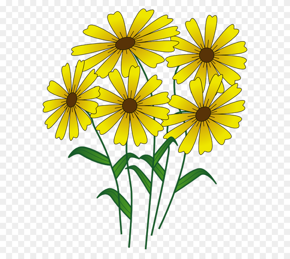 Summer Clip Art Images In I Love Summer, Daisy, Flower, Plant, Petal Free Transparent Png