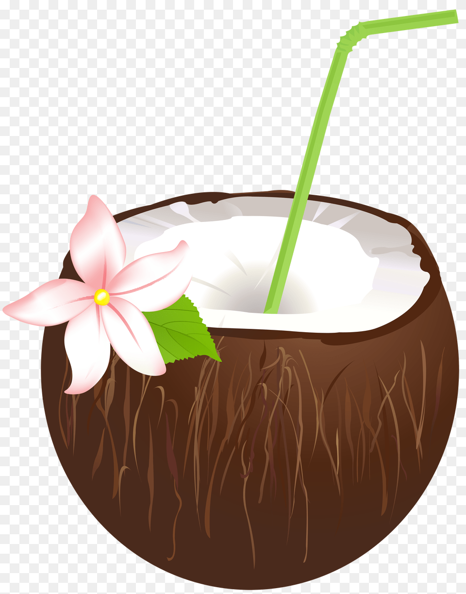 Summer Coconut Drink Clip Art, Food, Fruit, Plant, Produce Png Image