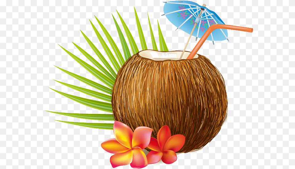 Summer Coconut Vector, Food, Fruit, Plant, Produce Free Transparent Png