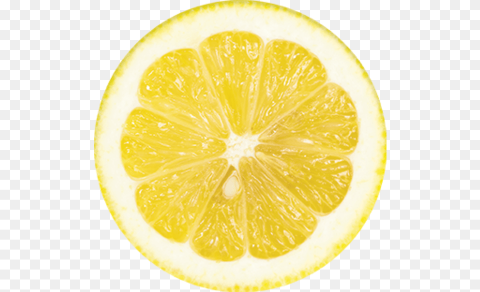 Summer Collection Meyer Lemon, Citrus Fruit, Food, Fruit, Plant Free Transparent Png