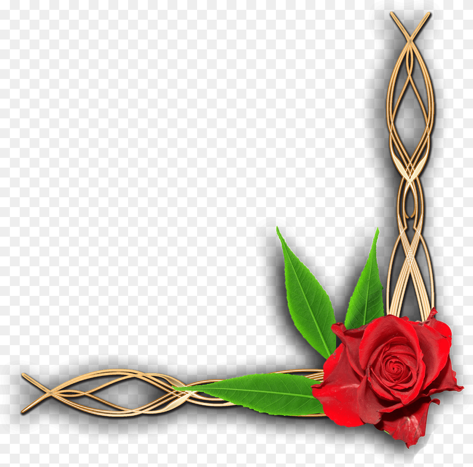 Summer Corner Border, Flower, Plant, Rose, Flower Arrangement Png