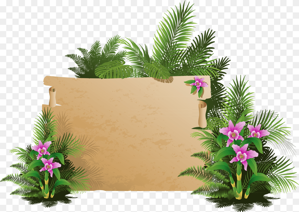 Summer Exotic Board, Flower, Flower Arrangement, Plant, Vegetation Png Image