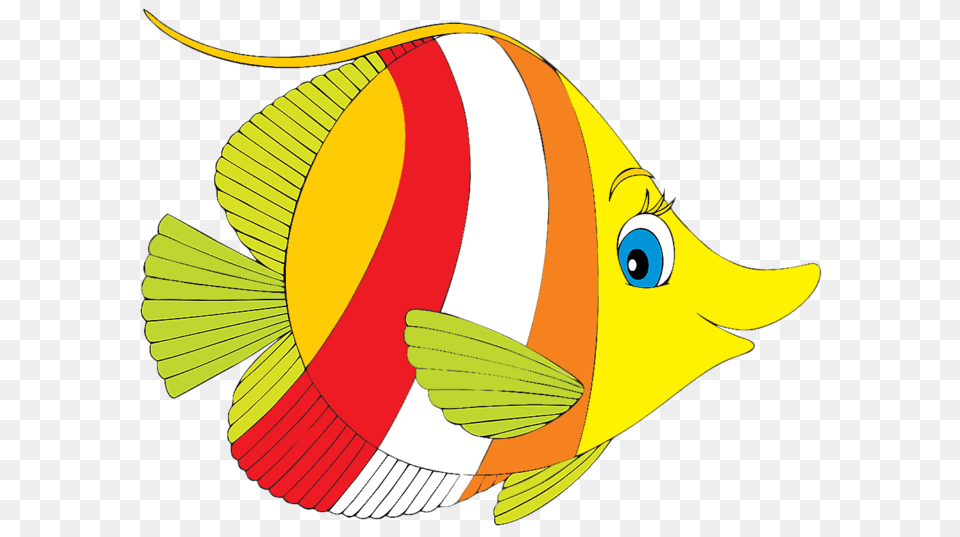 Summer Fish Fish Outline And Art, Angelfish, Animal, Sea Life Free Transparent Png