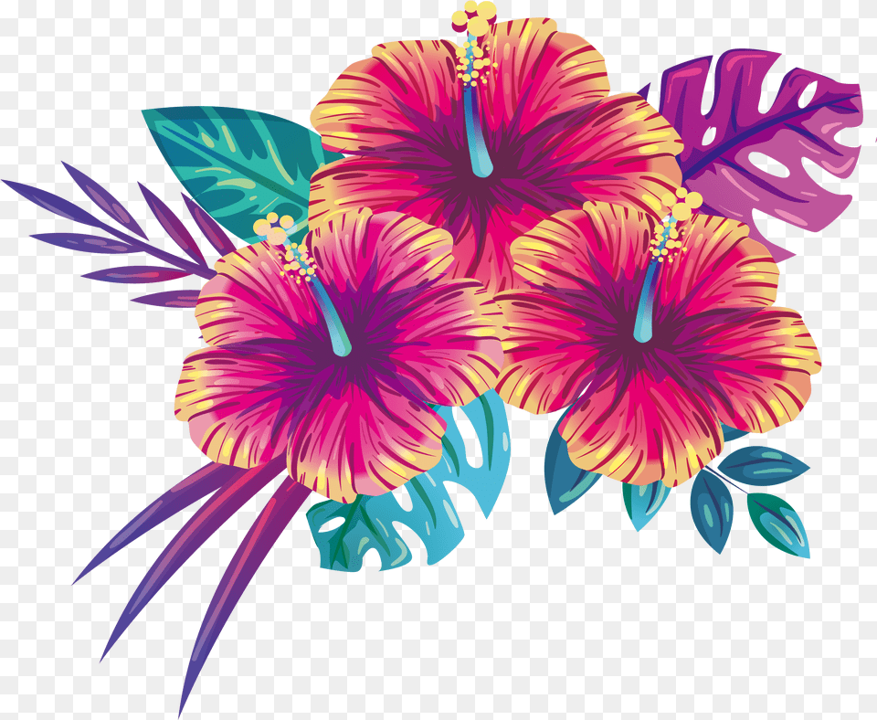 Summer Flowers Blooming Clipart Hq Flower Summer, Plant, Hibiscus, Pattern Png Image