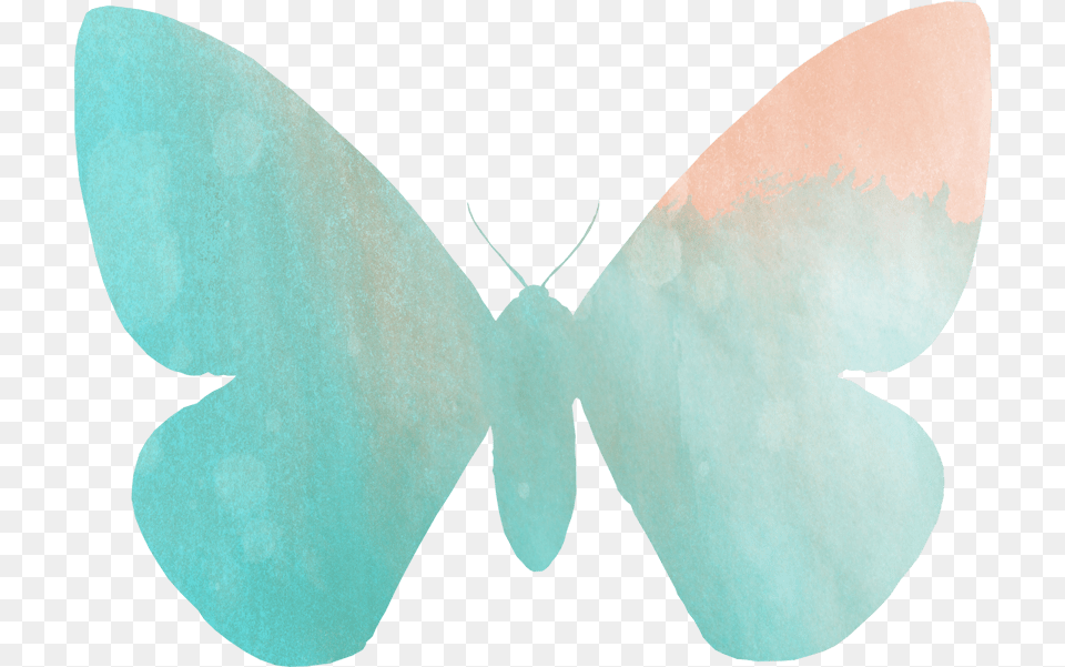 Summer Freebies Butterfly Coloring Pages U0026 Clip Art Lycaenid, Accessories, Formal Wear, Tie, Animal Free Transparent Png