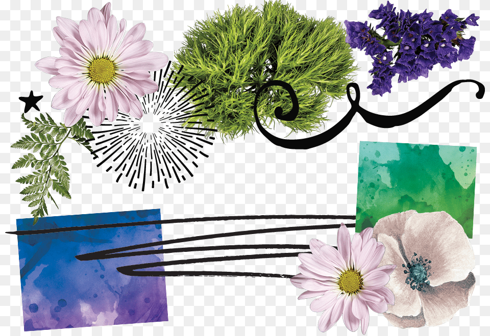 Summer Garden Party Poster, Plant, Daisy, Flower, Anemone Free Transparent Png