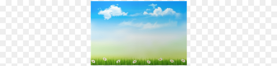 Summer Nature Background With Green Grass And Sky Grass, Plant, Outdoors, Scenery, Spring Png Image