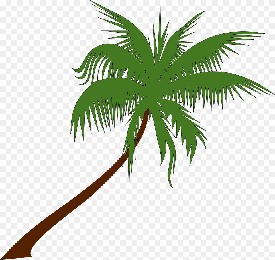 Summer On You Sam Feldt X Lucas, Palm Tree, Plant, Tree, Leaf Png