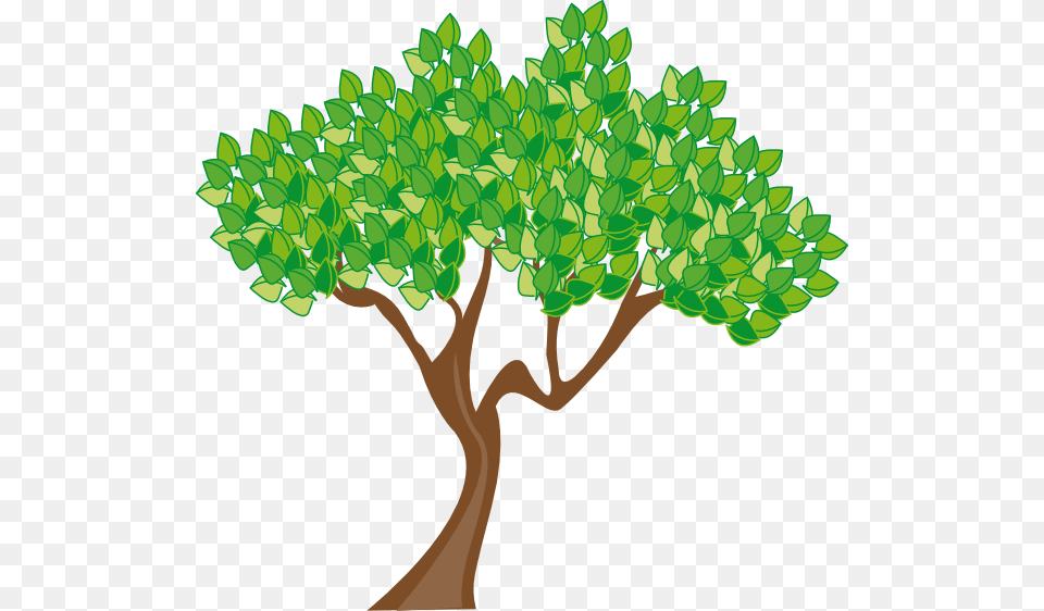 Summer Or Spring Tree Clip Art, Oak, Plant, Sycamore, Tree Trunk Png Image