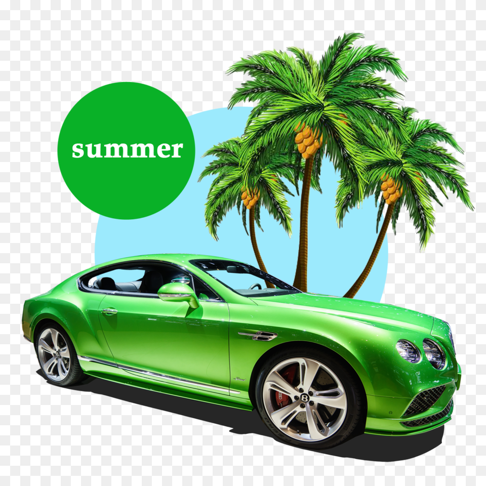 Summer Palm Tree, Alloy Wheel, Vehicle, Transportation, Tire Free Transparent Png