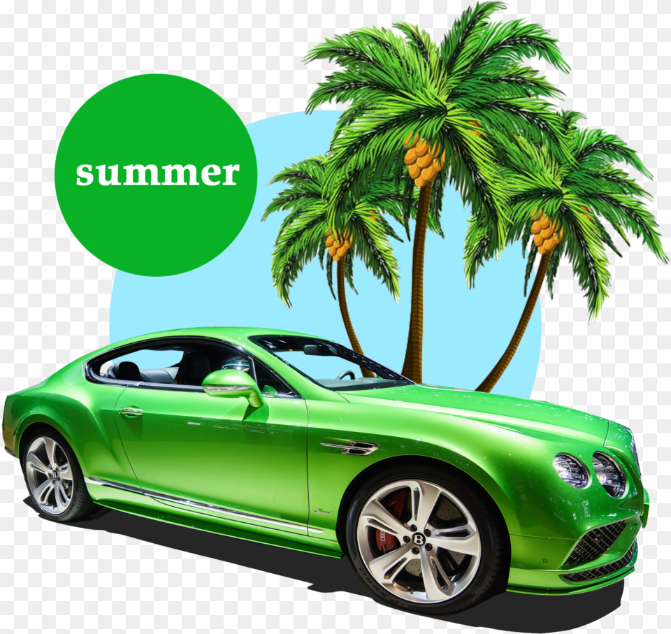 Summer Palm Tree Transparent Cartoon Palm Trees, Alloy Wheel, Vehicle, Transportation, Tire Png Image