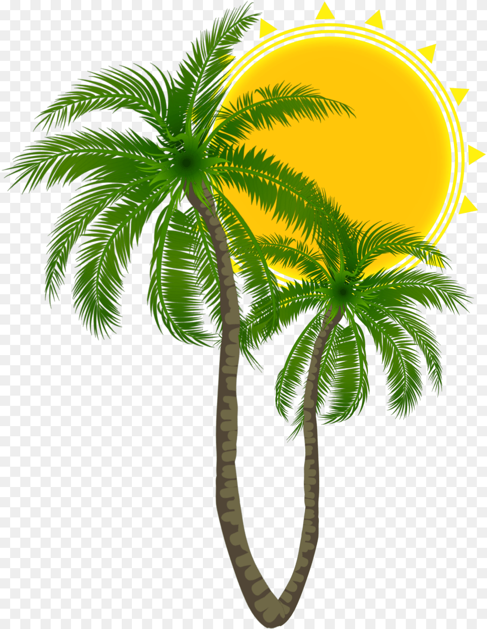 Summer Palmtrees Sun Hellosummer Logo Logos Palmier Pal Attalea Speciosa, Palm Tree, Plant, Tree, Vegetation Free Transparent Png