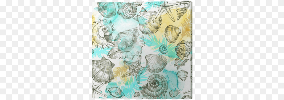 Summer Party Holiday Background Watercolor Illustration Illustration, Animal, Invertebrate, Sea Life, Seashell Free Transparent Png