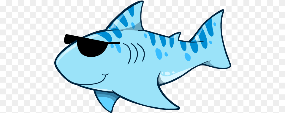 Summer Program Cute Tiger Shark Clipart, Animal, Sea Life, Fish Png Image