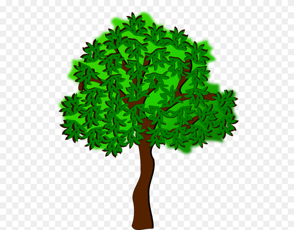 Summer Season Tree Autumn Drawing, Oak, Plant, Sycamore, Green Free Png Download