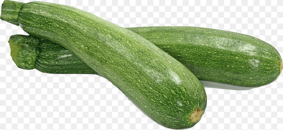 Summer Squash All Good Organics Farm Store Zucchini Vegetable, Food, Plant, Produce, Animal Free Png Download