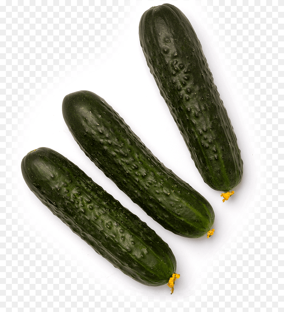 Summer Squash Zucchini, Cucumber, Food, Plant, Produce Png