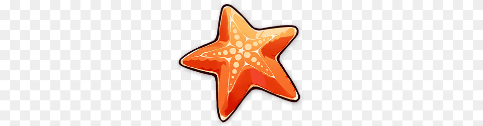 Summer Starfish, Animal, Sea Life, Invertebrate, Food Free Transparent Png