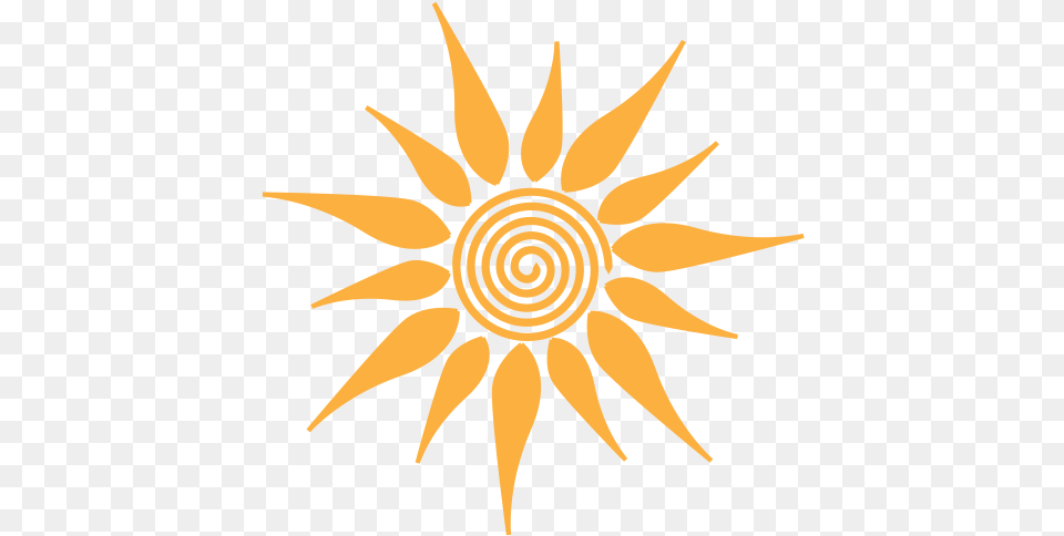 Summer Sun Camp Sunflower Free Png