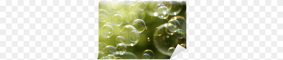 Summer Sunlight And Soap Bubbles Wall Mural Pixers Poster Flynt39s Soap Bubbles Floating In The Air As, Sphere, Droplet, Bubble, Chandelier Free Png Download