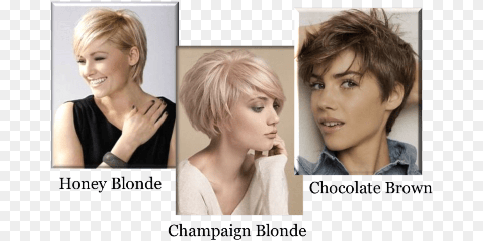 Summer Sweet Cuts Blond, Adult, Face, Female, Head Free Png