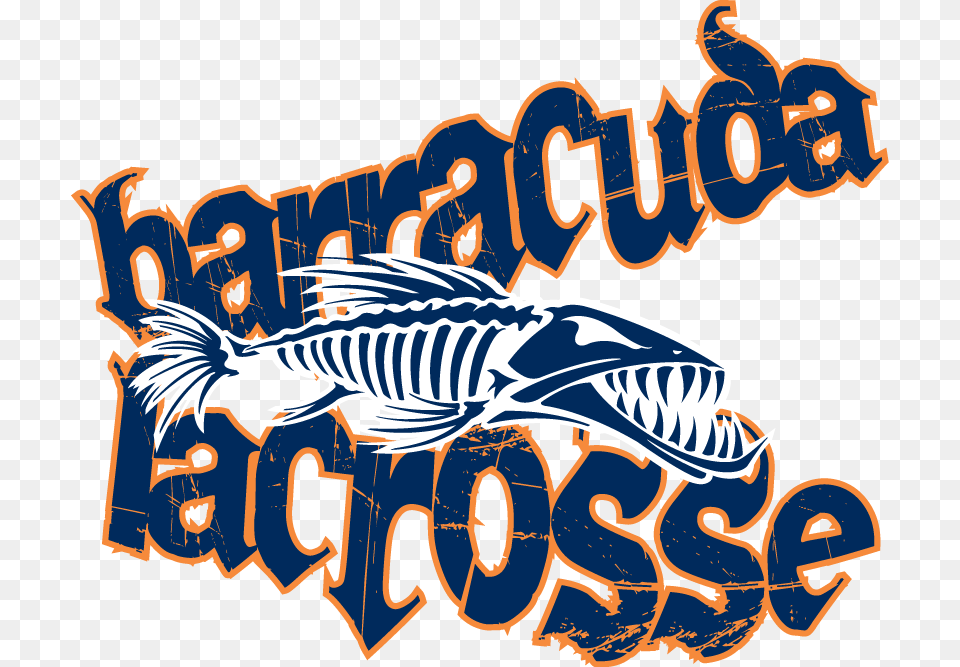 Summer Travel Teams Barracuda Lacrosse, Animal, Dinosaur, Reptile, Art Png Image