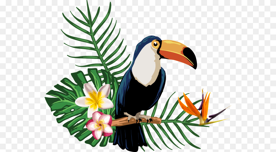 Summer Tropical, Animal, Beak, Bird, Flower Png