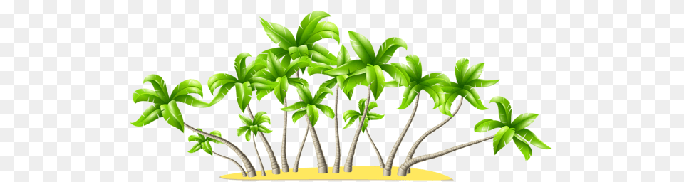 Summer Vacation Palm Tree, Leaf, Plant, Green Png