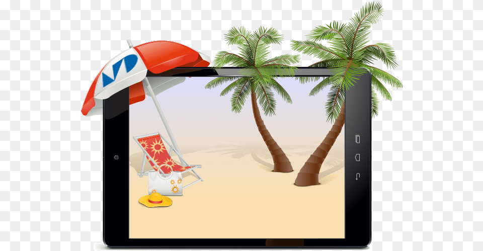 Summertime Online Illustration, Tree, Palm Tree, Plant, Summer Png Image